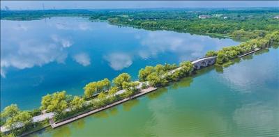 湿地公园风光旖旎