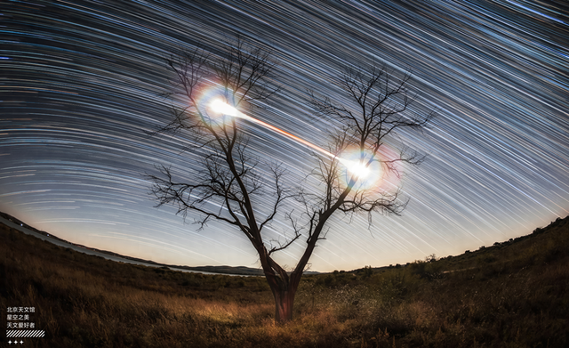 枯树魔眼 | 图片来源及版权：职爽