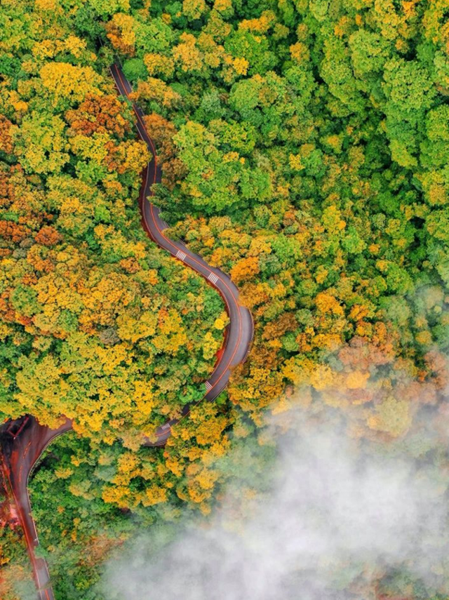 去四面山吧，别浪费重庆转瞬即逝的秋天！🍂