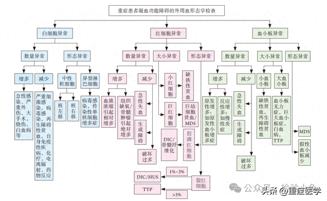 董菊