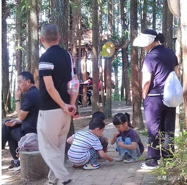 利川避暑山庄苏马荡树林下人们活动剪辑 老人安享晚年 小孩亲近自然