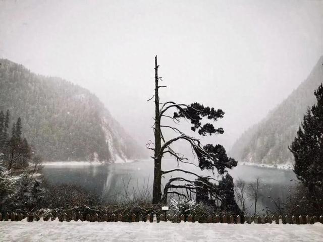 九寨沟发布公告：禁止穿越！