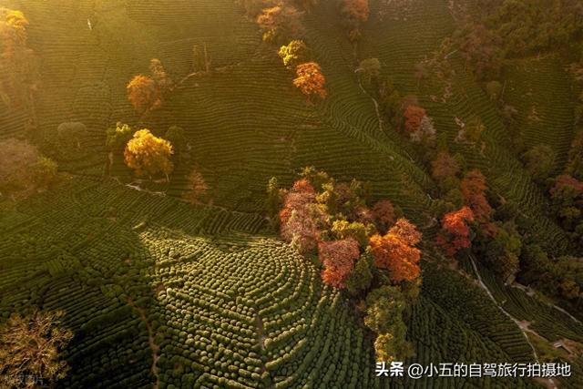 江浙沪秋季徒步攻略｜6 条绝美秋叶路线，新手进阶全覆盖