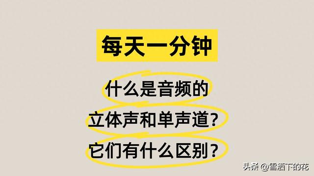单声道和双声道有什么区分吗（什么是音频的立体声和单声道它们有什么区别）