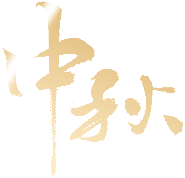 情满包博——博物馆里的团圆时刻