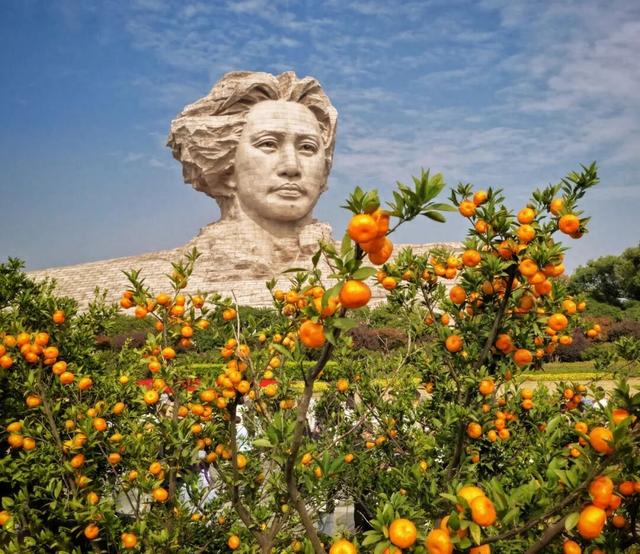 橘子洲，又见橘红染湘江