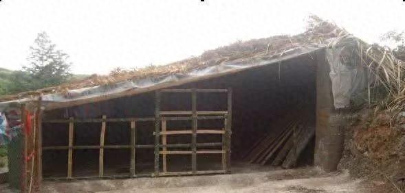 散养鸡的五种鸡舍建设方法（散养鸡的鸡舍建设五种方法）