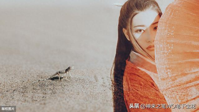 锦衣卫歌词（国际诗歌·剑雨浮生歌词·锦衣卫）
