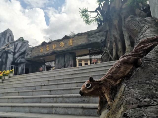 票价公布！走，去个旧