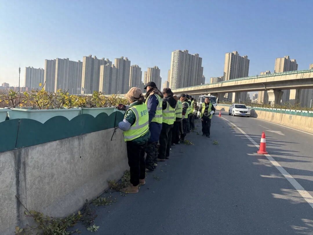 精心守护高架月季 静待春来迎花开(图1) 精心守护高架月季 静待春来迎花开(图1)