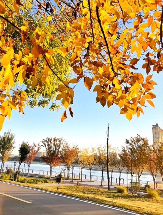 【潍坊寿光】立冬初至寿光美