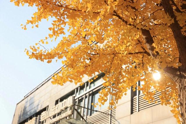 藏不住的惊艳!这座公园正处颜值巅峰