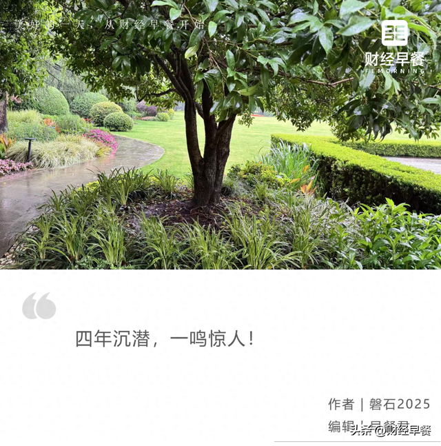 四年了！木头姐重新买入的阿里，要和英伟达“深度融合”