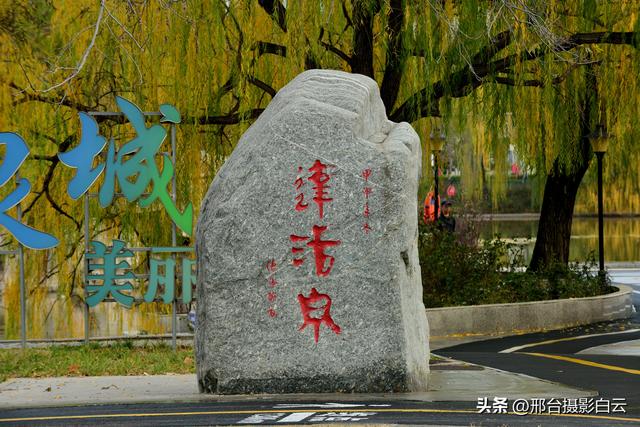 达活泉：公园披金衣，满目黄金柳（图）