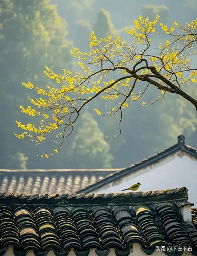 微信昵称取什么好（封神级别的微信昵称）