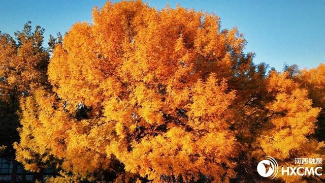 秋洒落的地方 藏着温柔与力量