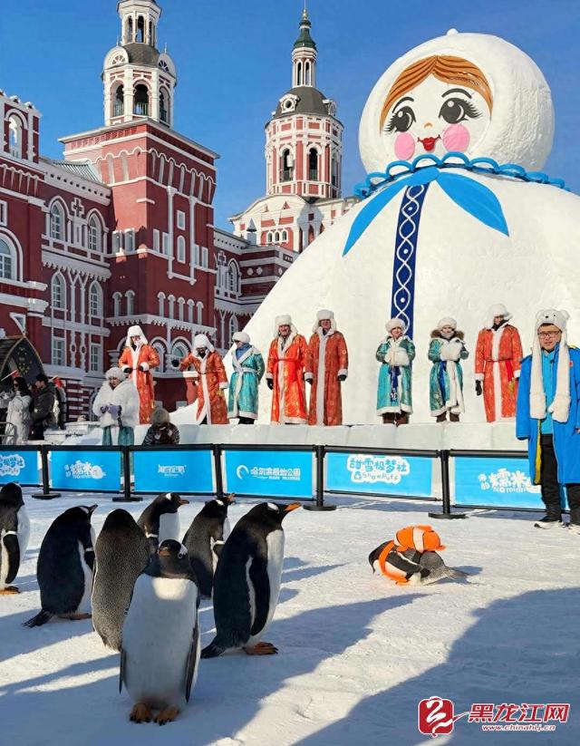 10米俄式大雪人牵手极地萌宠 伏尔加庄园打造冰雪游新地标