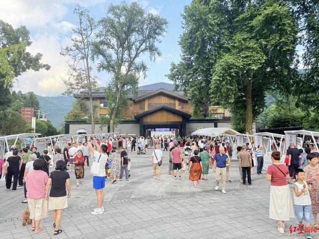 AI面诊、三伏贴、百人夜练八段锦，“天府药市·二十四集”启幕