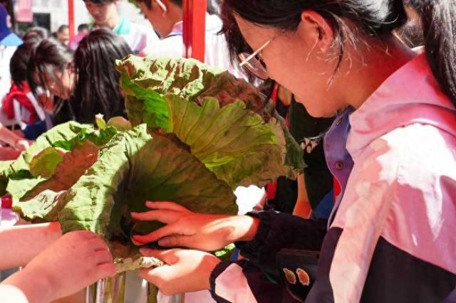 中学生参与！北大附中开展国家自然科学基金科普课题实践体验活动