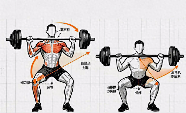 你蹲对了吗？90%的人深蹲都在练腿不练臀。