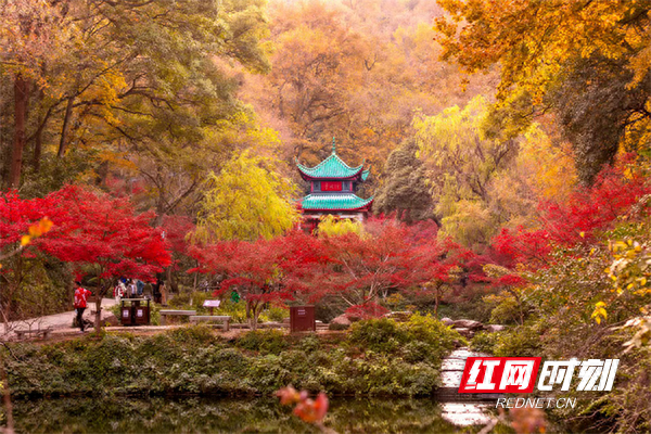 湖南4家景区入选全国5A级景区百强榜