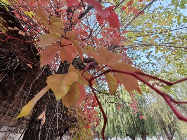 人生处处皆美好