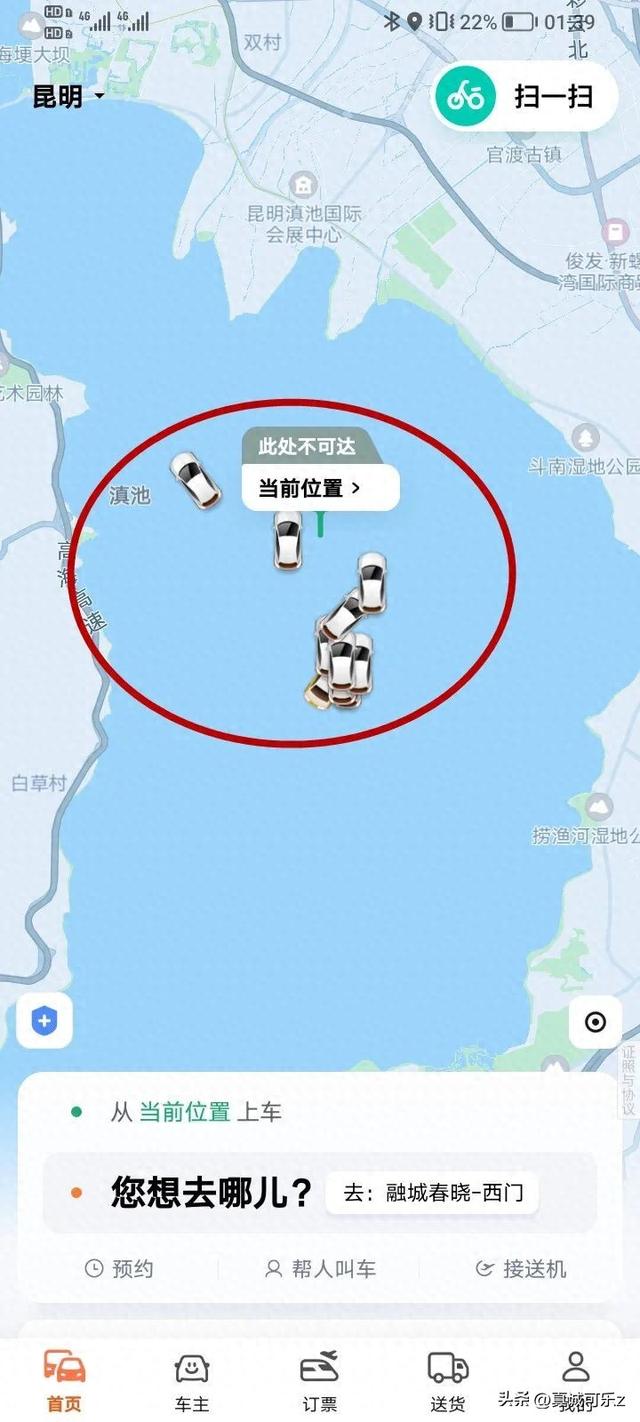 惊！滇池里惊现网约车，究竟咋回事？