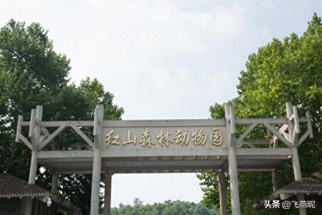 6天春假江苏旅游攻略