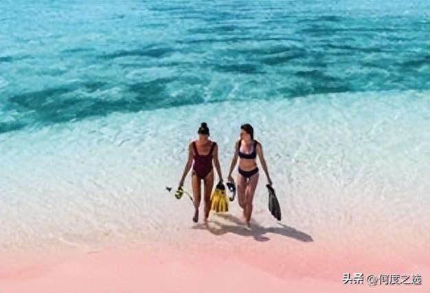 阿雅娜科莫多维艾齐洙沙滩度假村倾情呈献蝠鲼点自然奇观