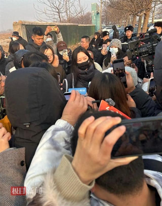 真是日了狗了是什么意思,从哪里出来的梗（陪伴13年的爱犬被毒死女子辞职死磕3年）