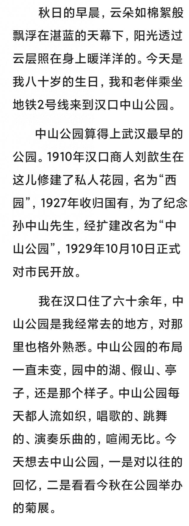 中山公园的菊花