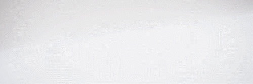 栏目优化（新文艺语境下文学内刊如何更新办刊方法论圆桌访谈）