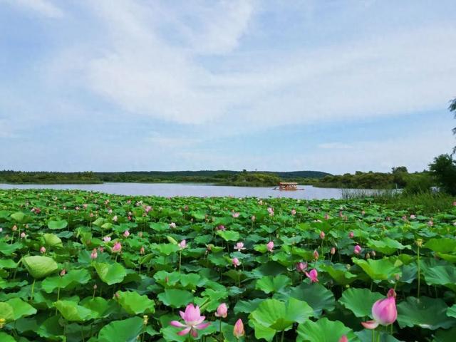 注意！今起暂停三天！