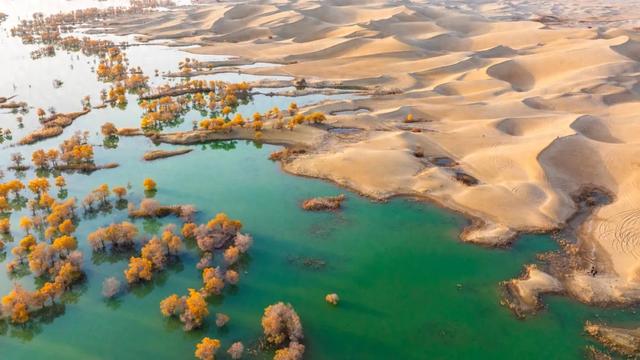沙记得，风知道！胡杨林里收藏着整个秋天的回声