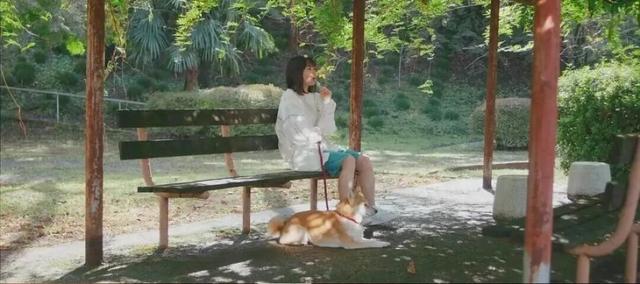娱乐活动有哪些（为低精力人推荐一些低能耗娱乐活动）