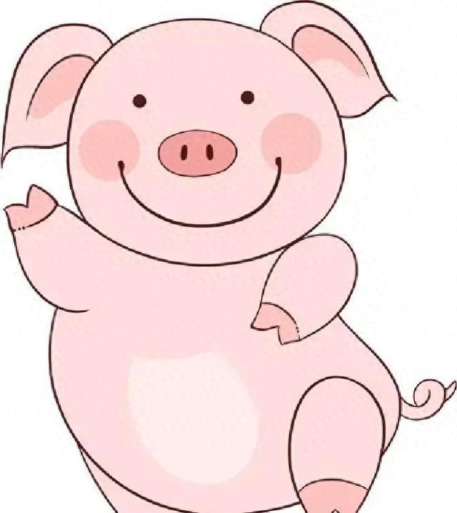 天算不如人算	，属猪的12月24日周三，一件关键大事即将悄然发生