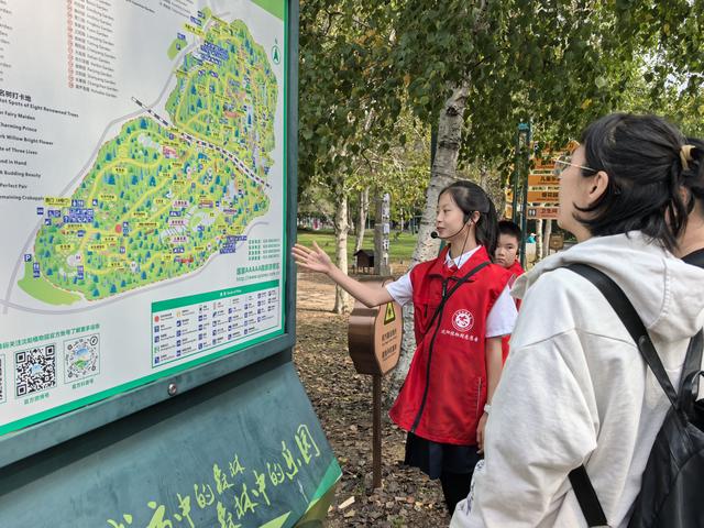 “志愿红”邂逅“秋菊黄”：小志愿者成景区最美风景