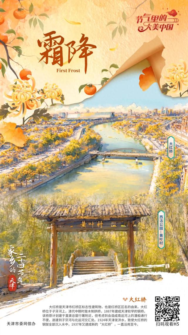节气里的大美天津｜霜降：枫叶变红，银杏转黄