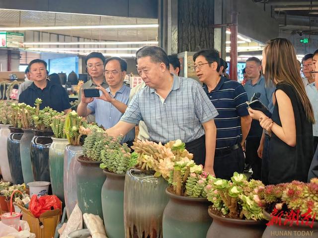 毛万春在云南开展对比调研