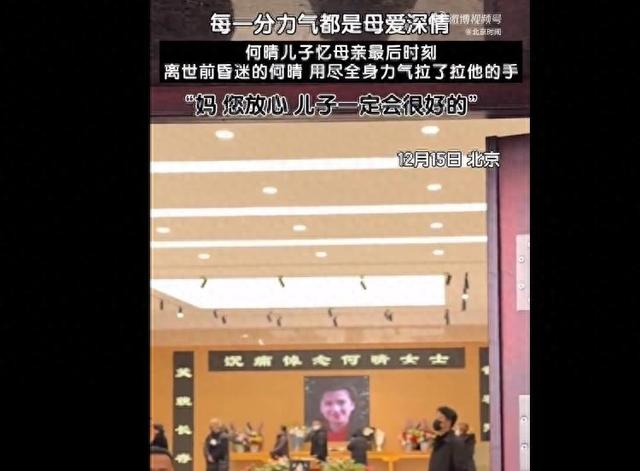 何晴为啥没要儿子的抚养权？