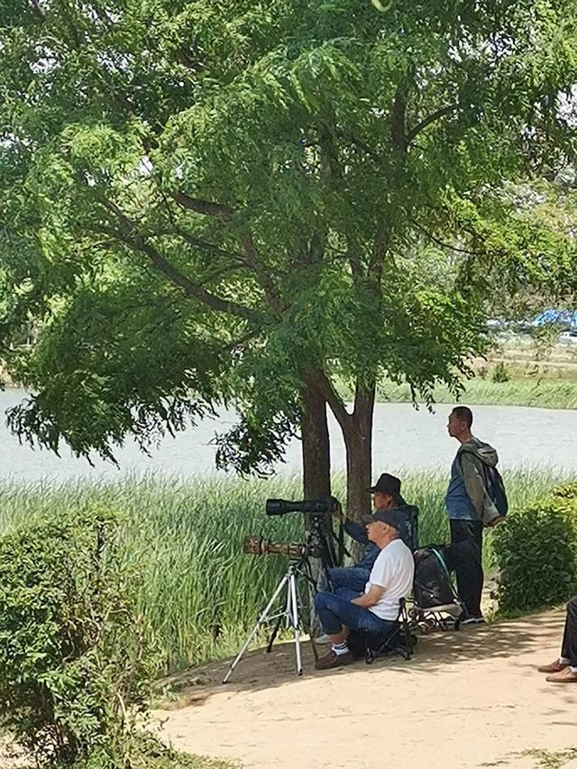 沈阳丁香湖公园