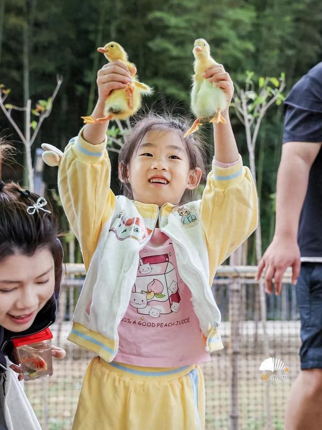 这届春假，临安申请出战！