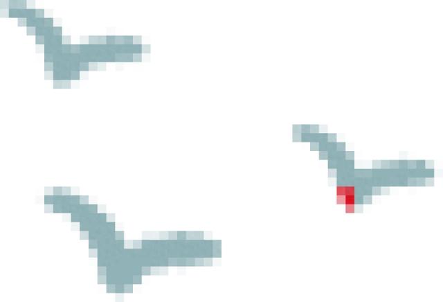 梵净山民宿：游客的“诗和远方”