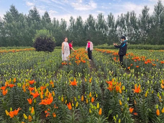 繁花与林海共舞 牙克石林场绘就夏日生态画卷