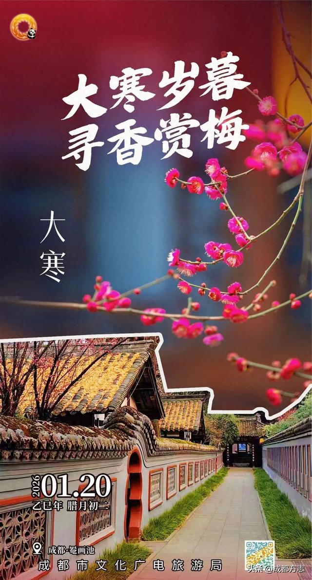 成都这波“梅”景太出片，错过再等一年~