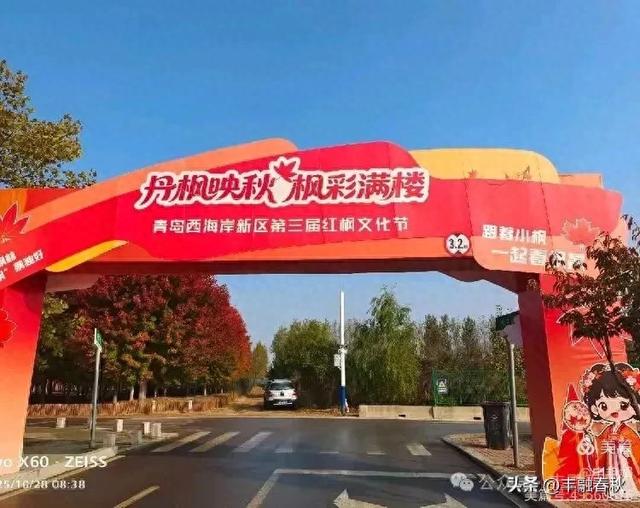 丹枫映秋,枫彩满楼|申艳娟