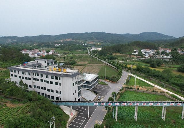 问津渡民宿激活旧街茶旅融合新活力