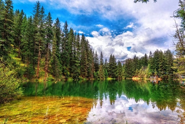 西藏类乌齐秘境徒步：穿越原始松林，邂逅隐居高山湖泊