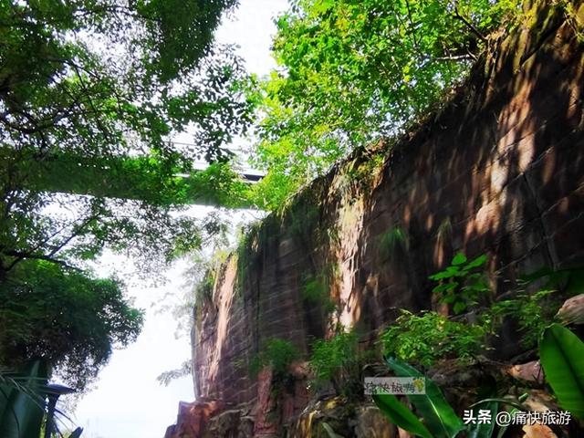 隐藏在自贡城区内的“一线天”