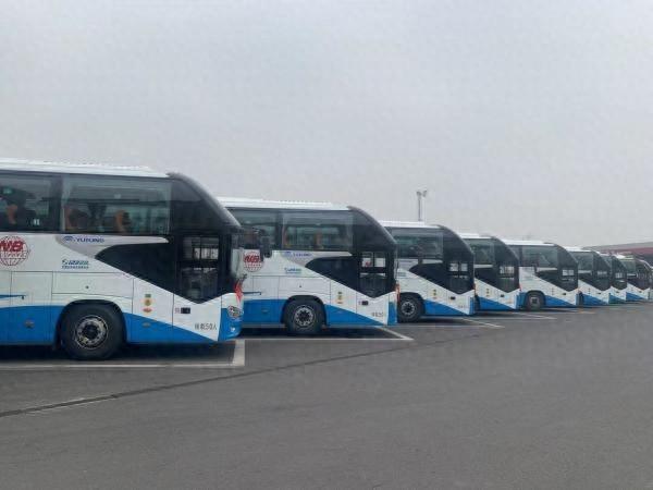 宁波惠民景区直通车都有哪些线路？这张图请收藏